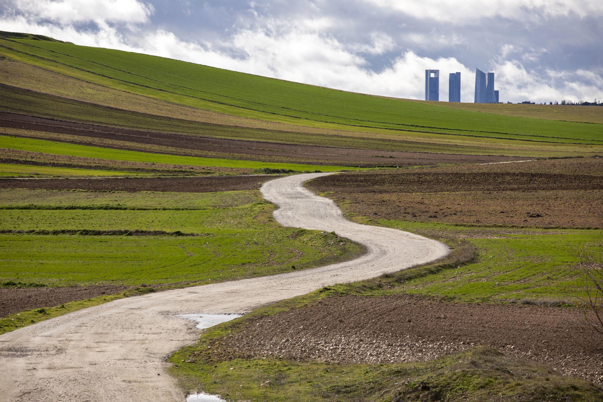 Vista Madrid 4 Torres desde el campo